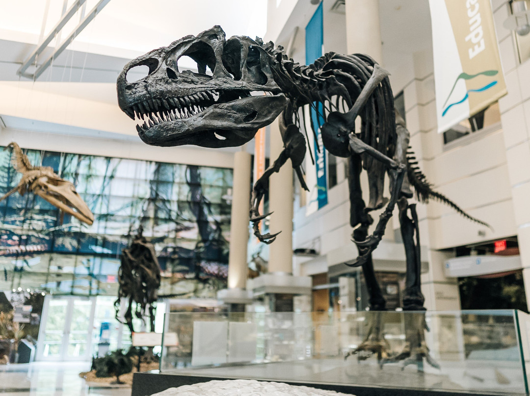 Virginia Museum of Natural History景点图片