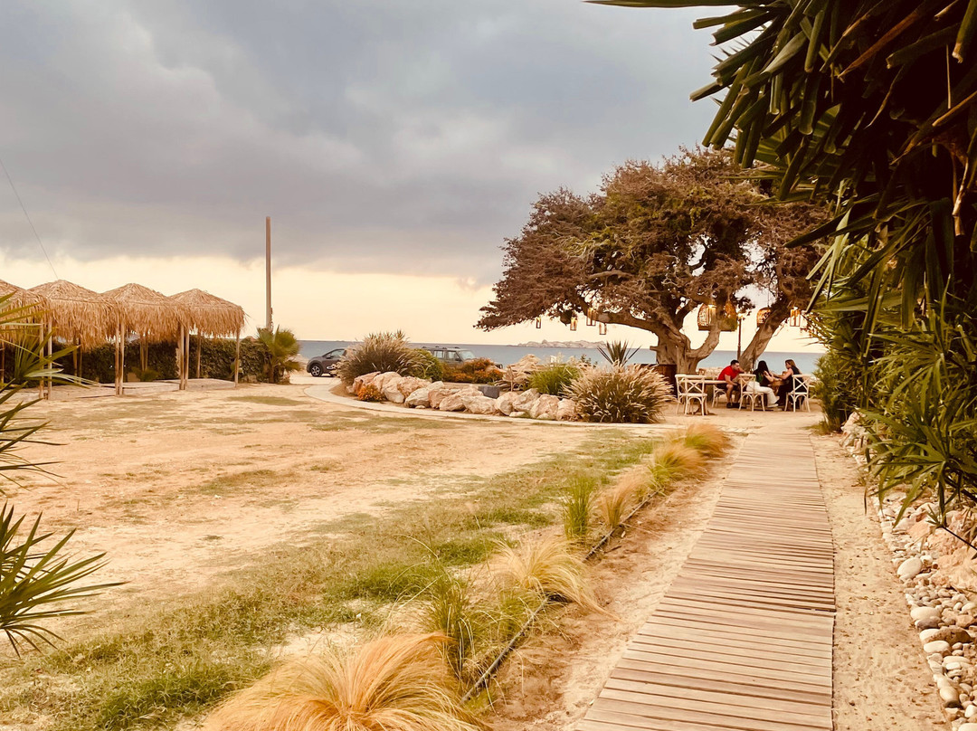 Athina Studios and Suites主图