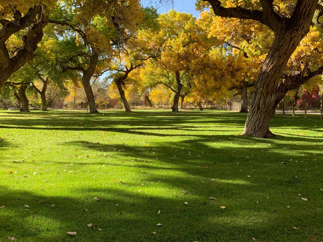 Morning Star Bed & Breakfast Of Corrales主图