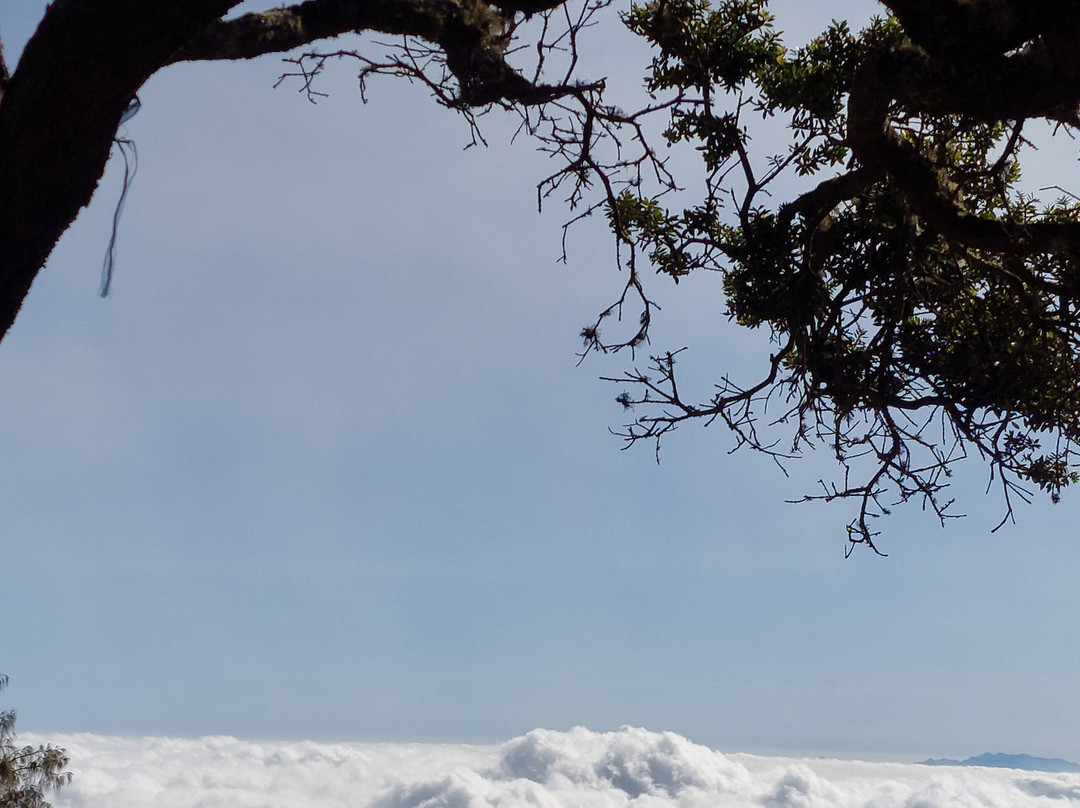 Mount Arjuno and Welirang-Prigen必去景点