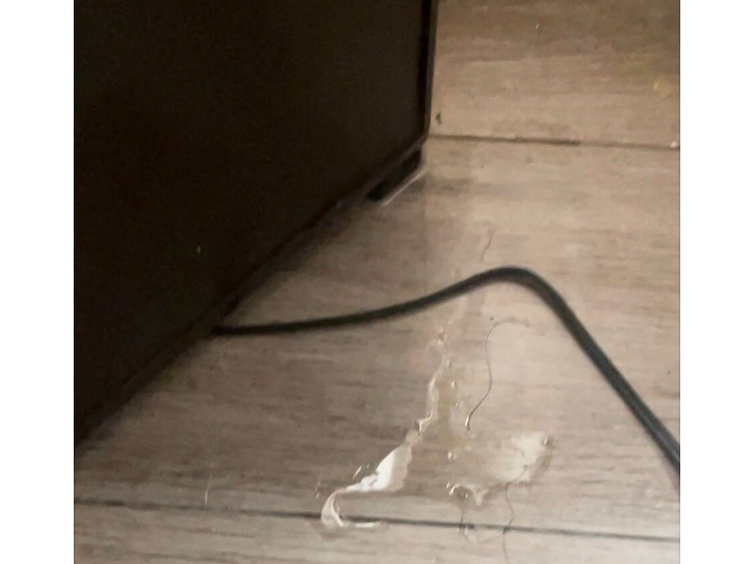 Green Plaza Inn主图