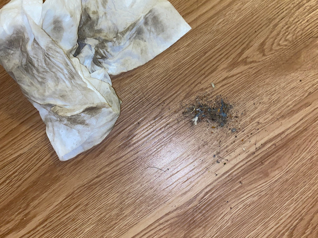 Quality Inn Arnprior主图
