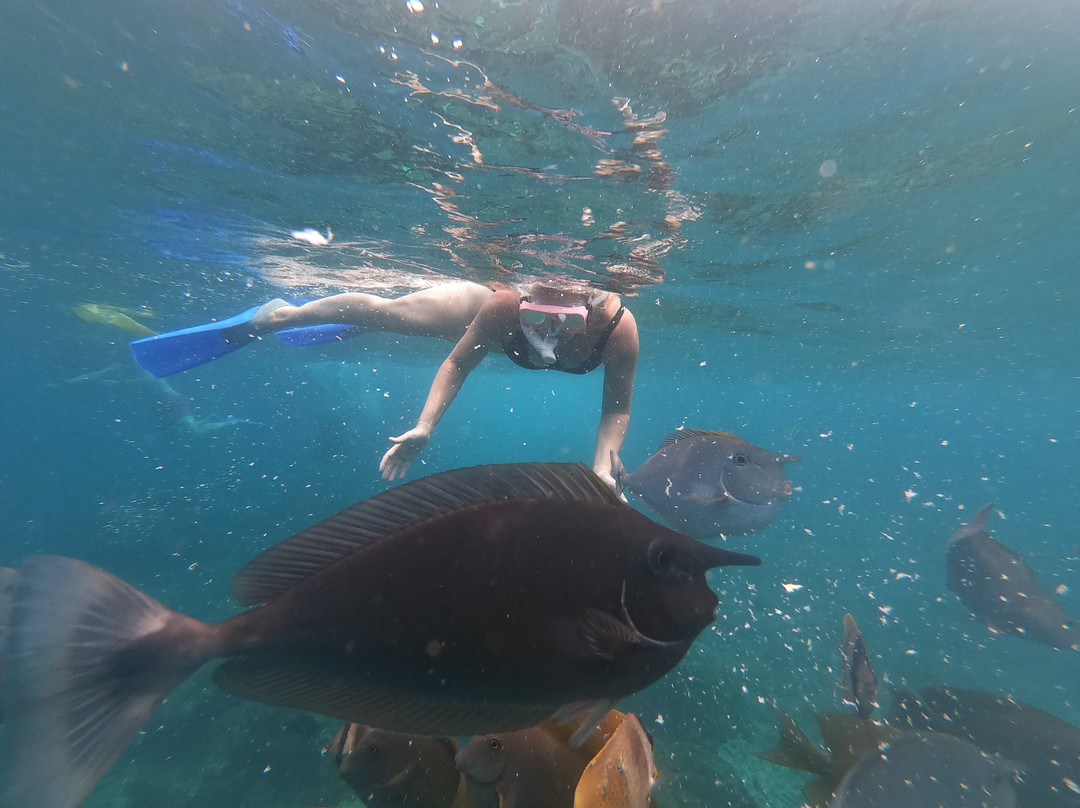 Manta Discovery-Ped必去景点