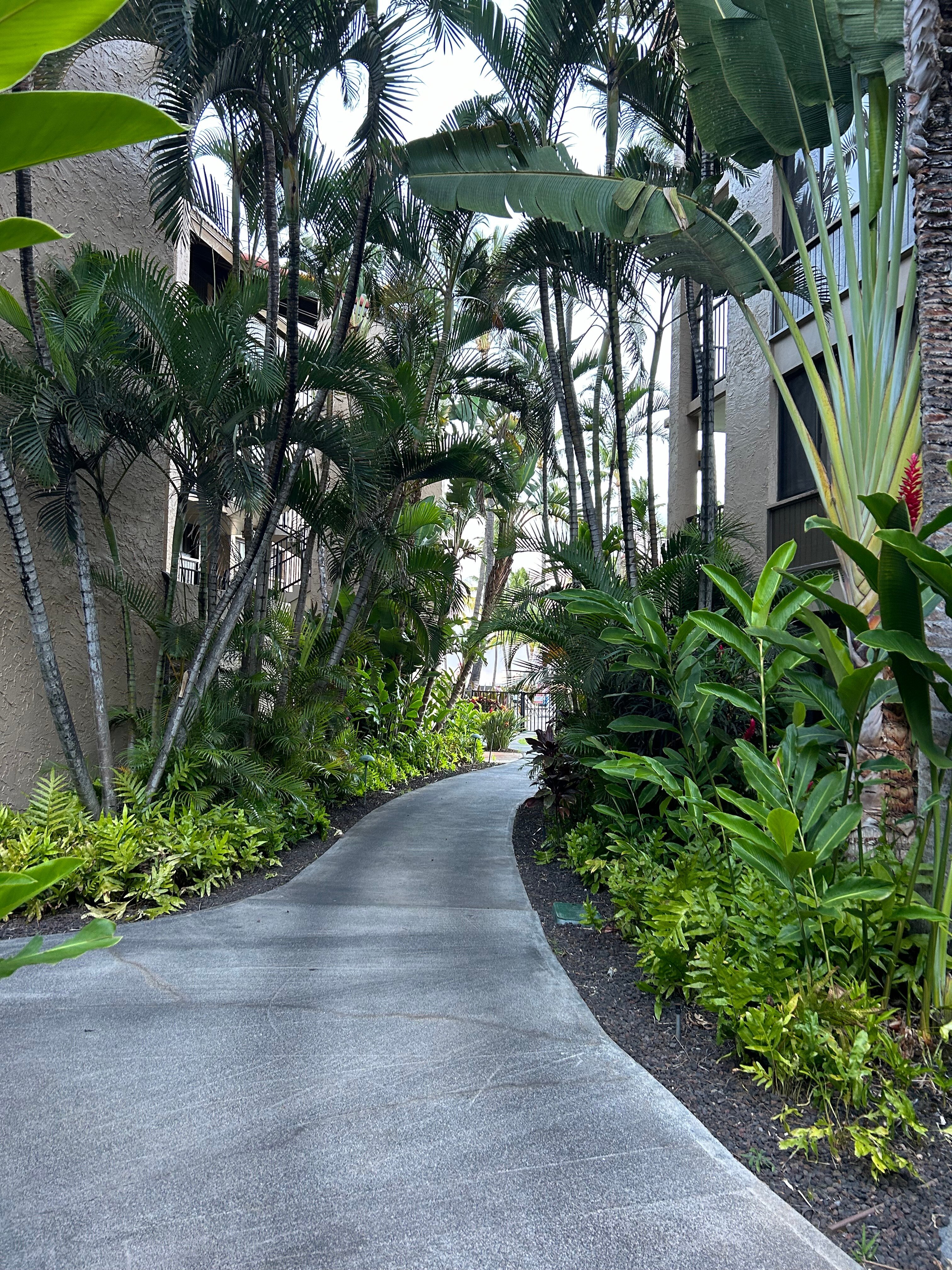 雅诗顿卡阿纳帕利海岸酒店-浴室