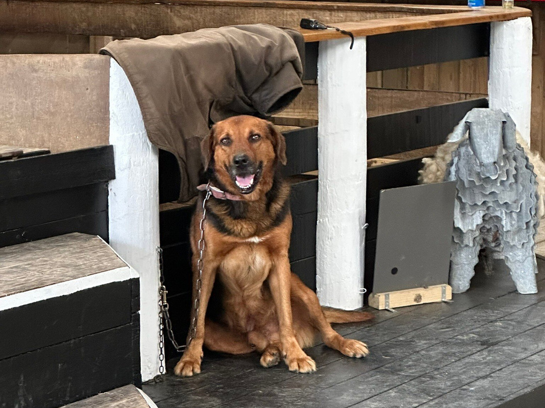 Sheepworld Farm Park-瓦卡沃夫必去景点