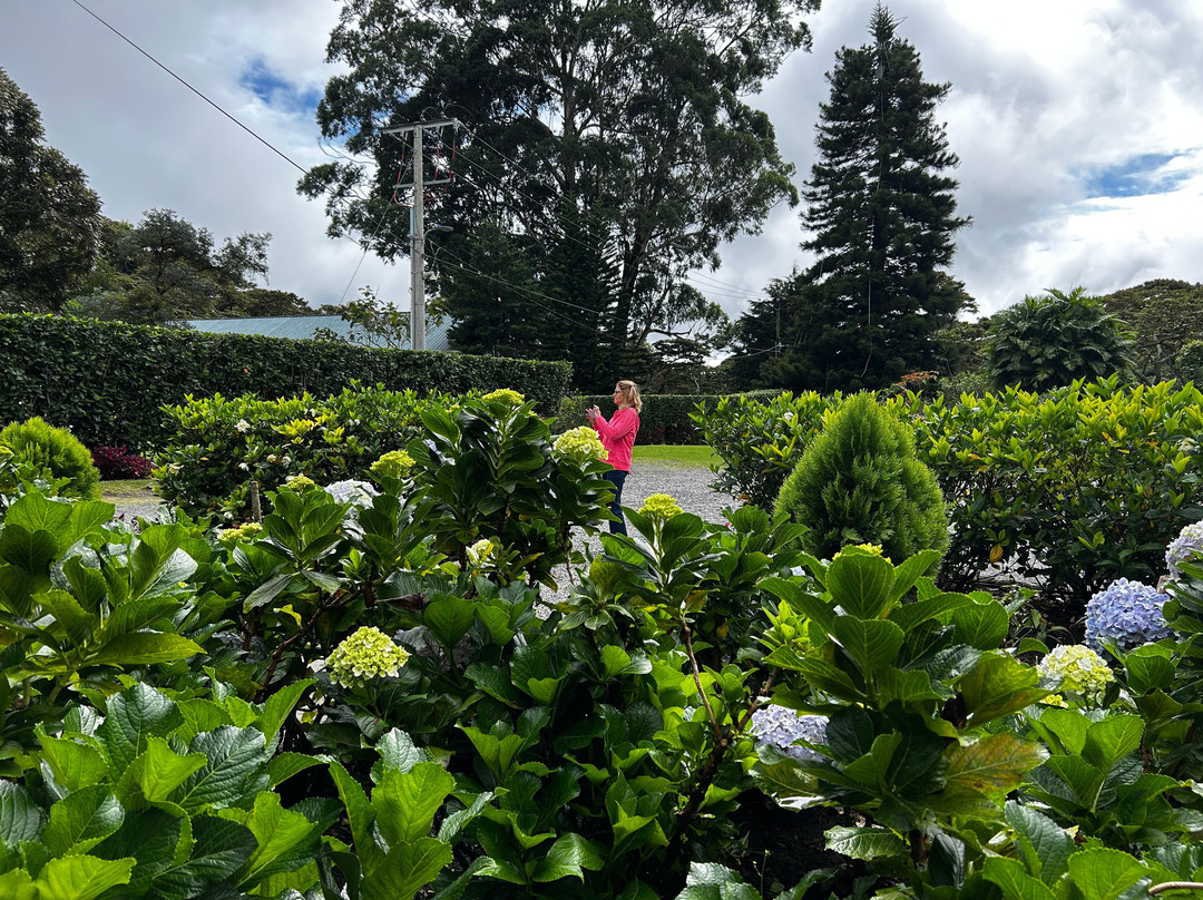 Finca Lérida景点图片
