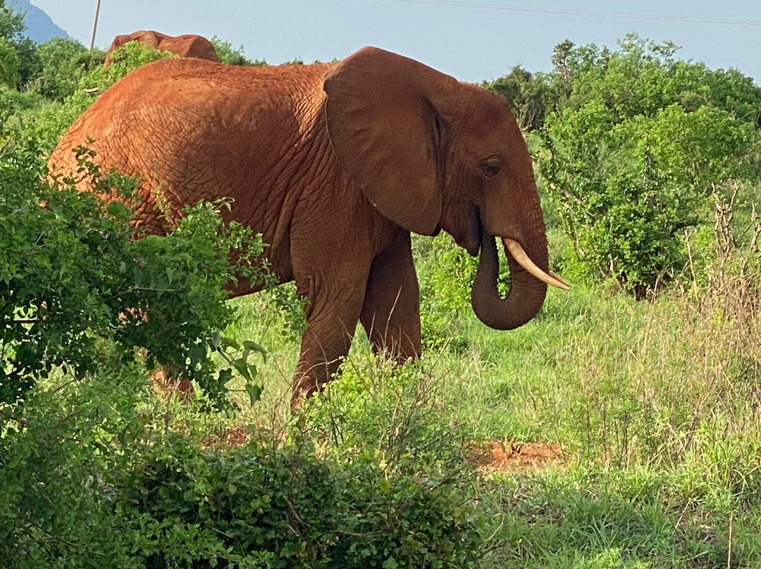 Kifola Safaris-瓦塔木必去景点