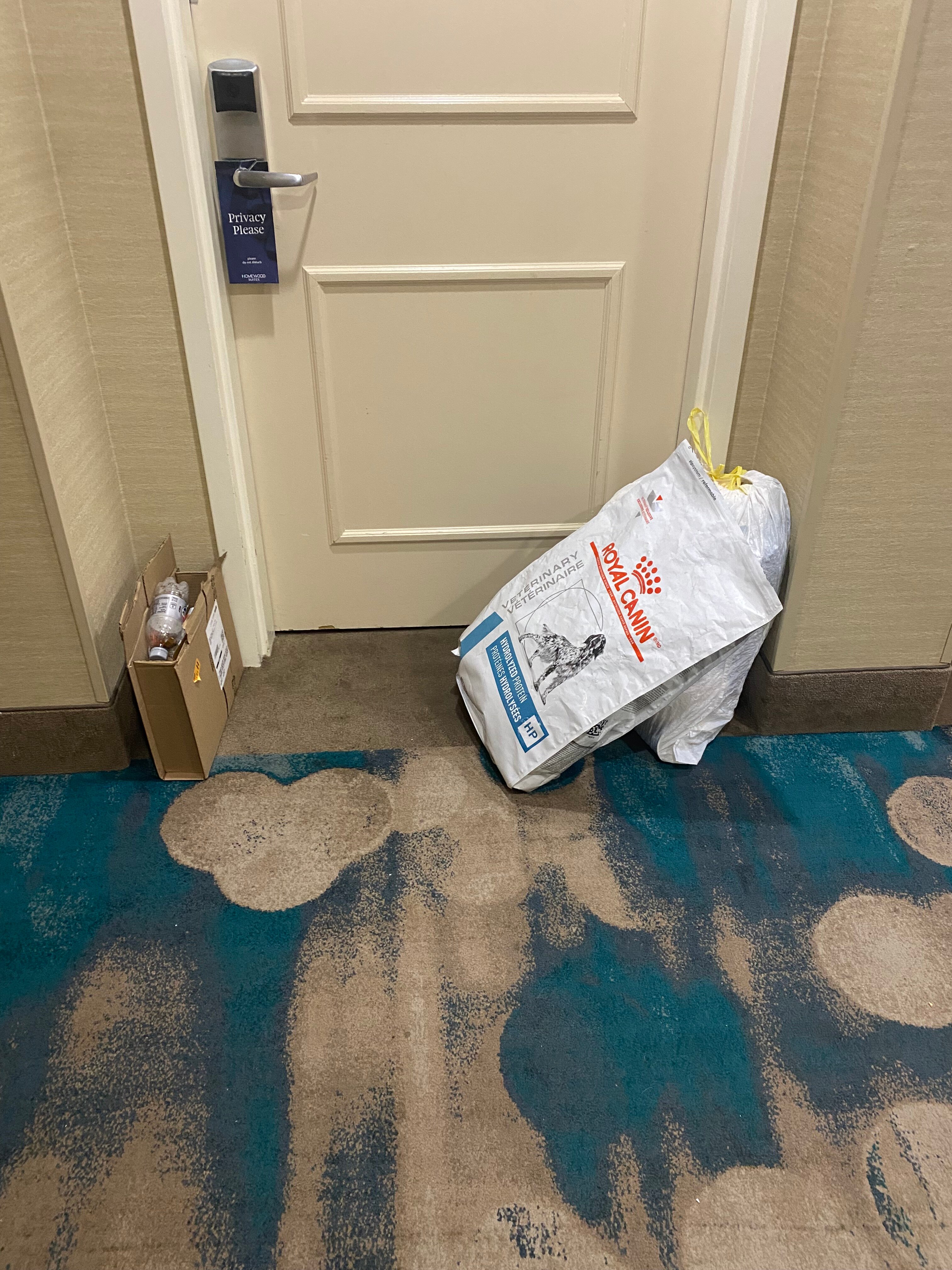 Homewood Suites by Hilton Tampa-Port Richey-客卧