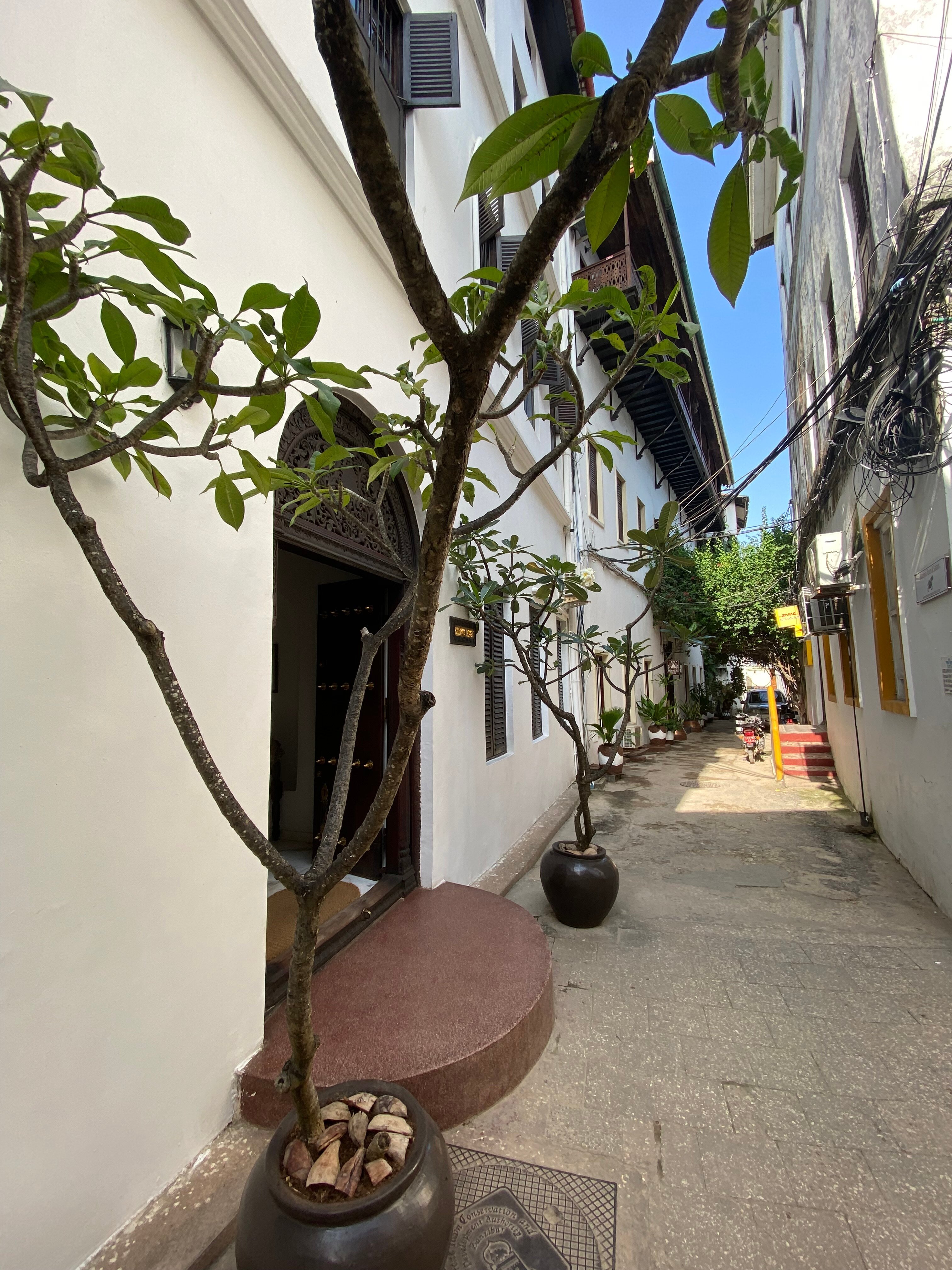 Kisiwa House-浴室