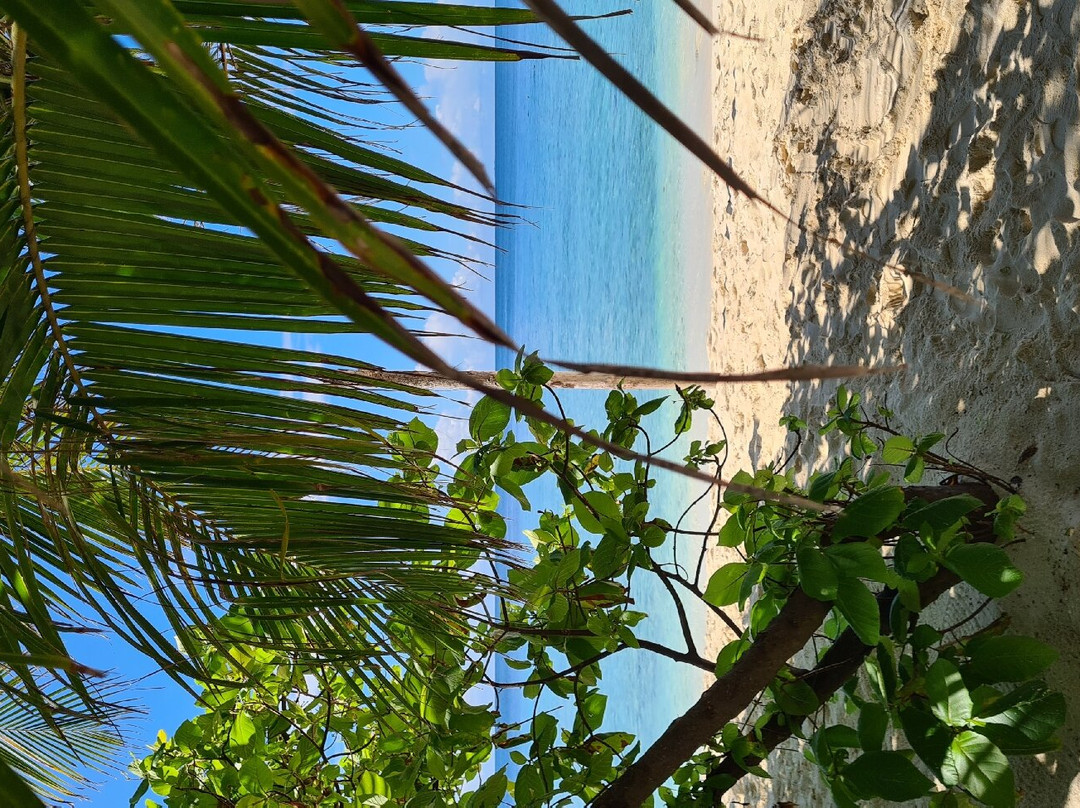 Shaviyani Retreat主图