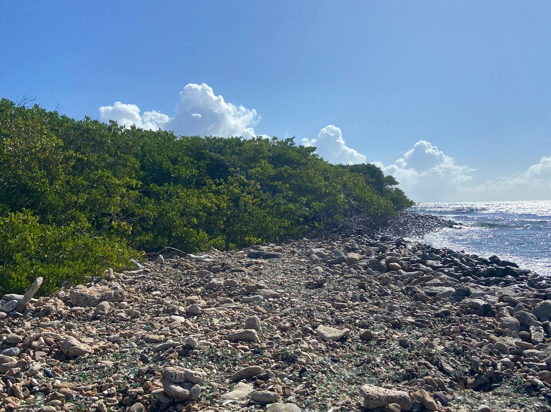 Clear Kayak Tour-萨瓦内塔必去景点