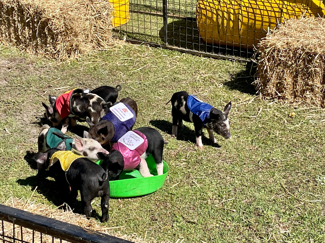 Tea Gardens Country Club & Motel主图