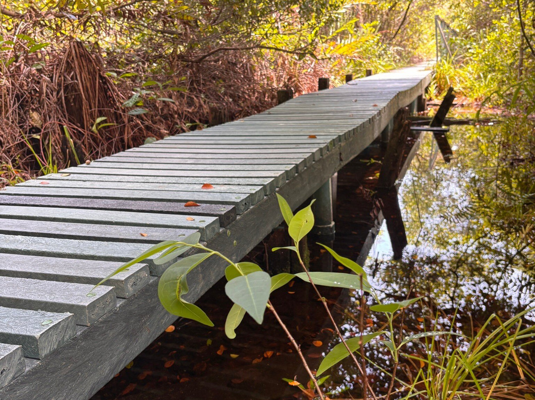 Isla Zapatillas-博卡斯德尔托罗必去景点