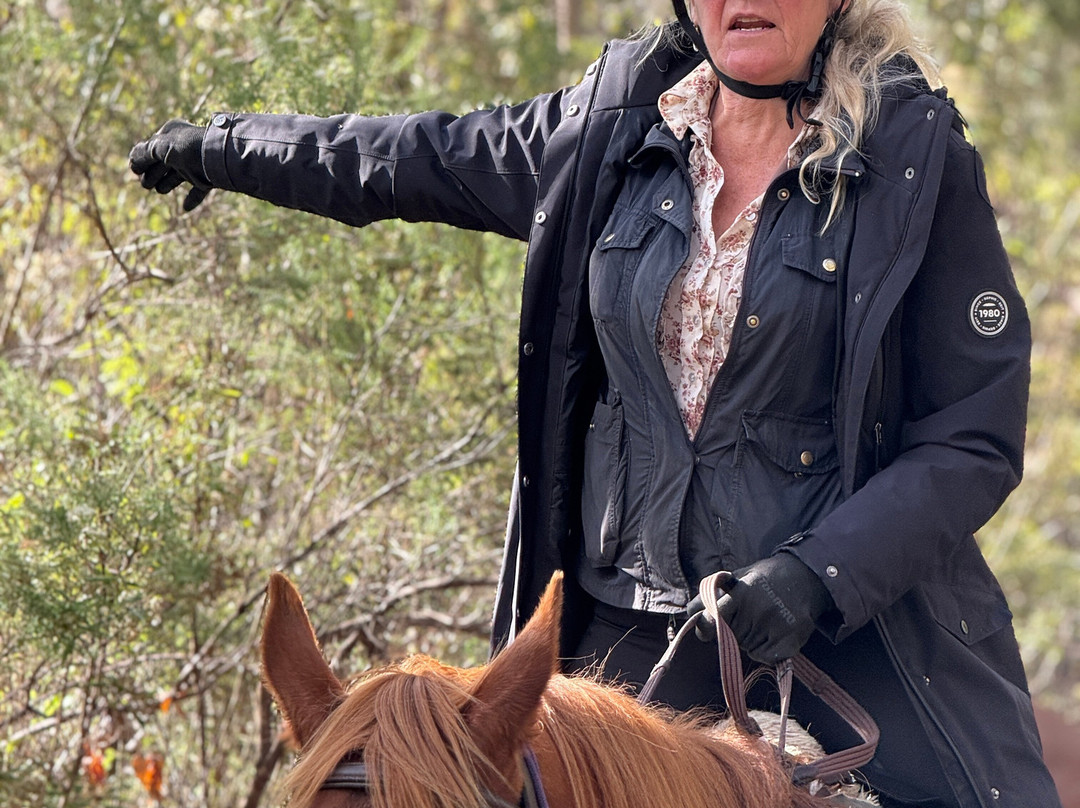 Horse Riding Tasmania景点图片