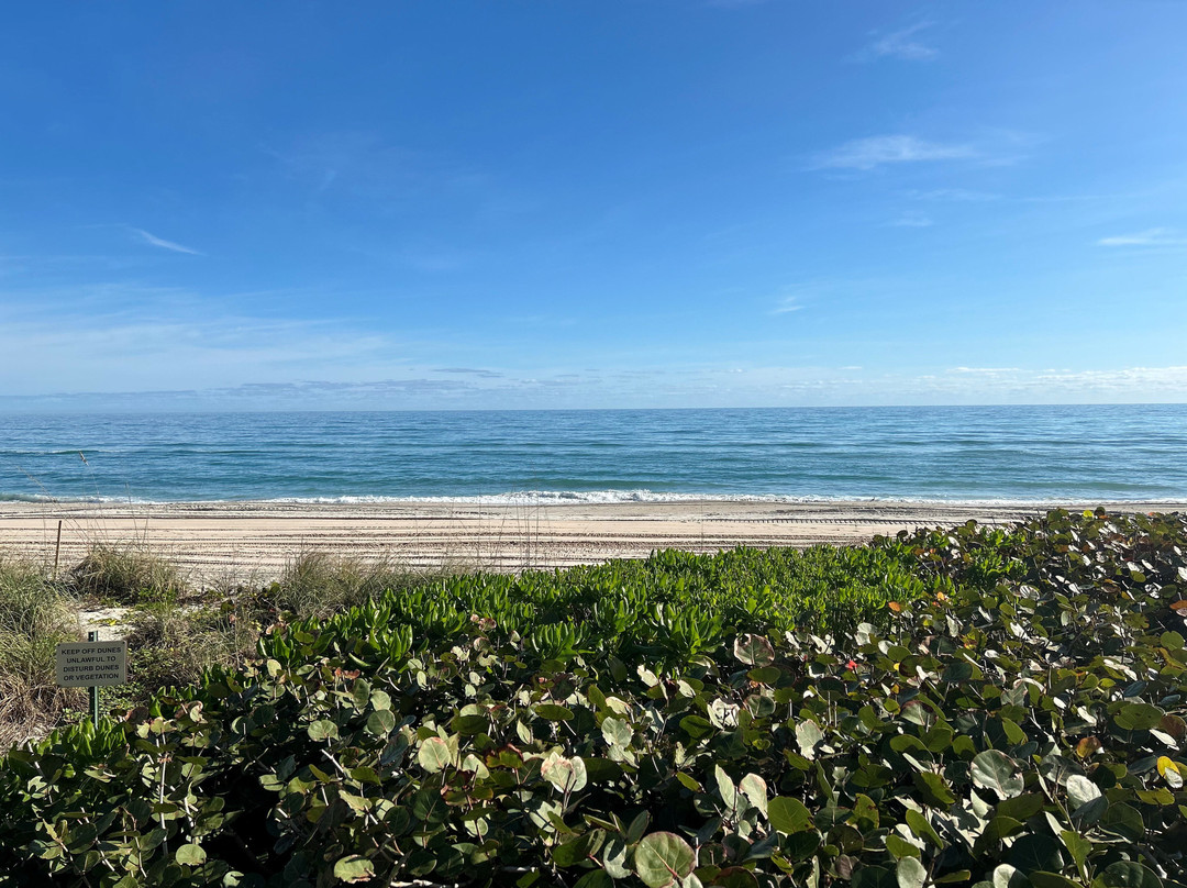 墨尔本海滨皇冠假日酒店主图