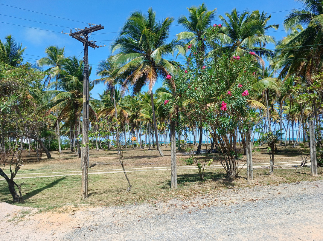 Toquinho Beach-嘎林海斯港必去景点