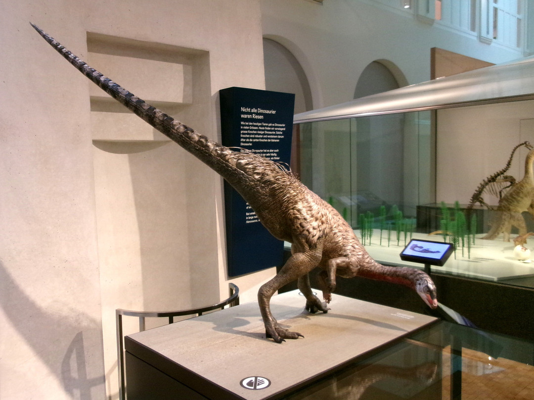 Zoologisches Museum der Universität Zürich-苏黎世必去景点