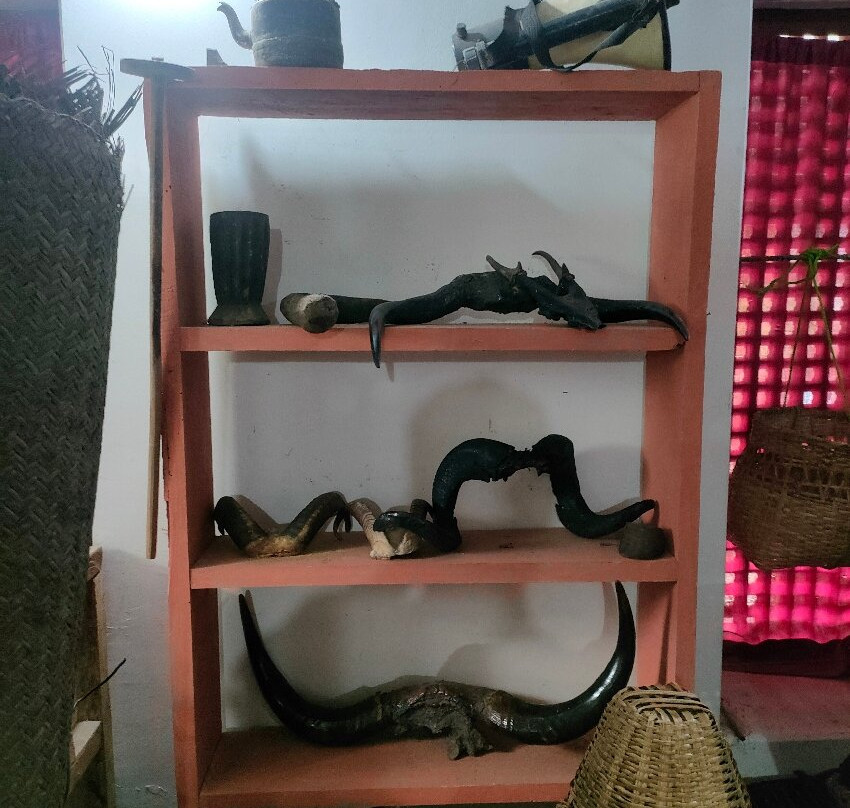 Old Gurung Museum景点图片