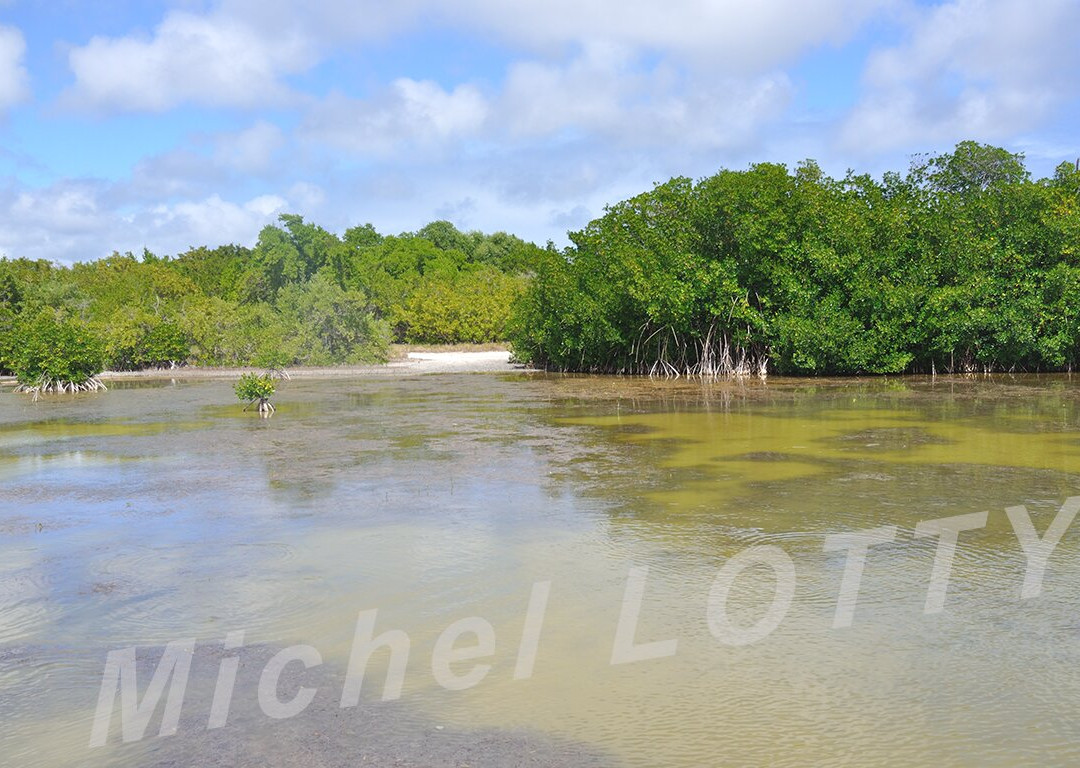 Etang des Salines-Sainte-Anne必去景点