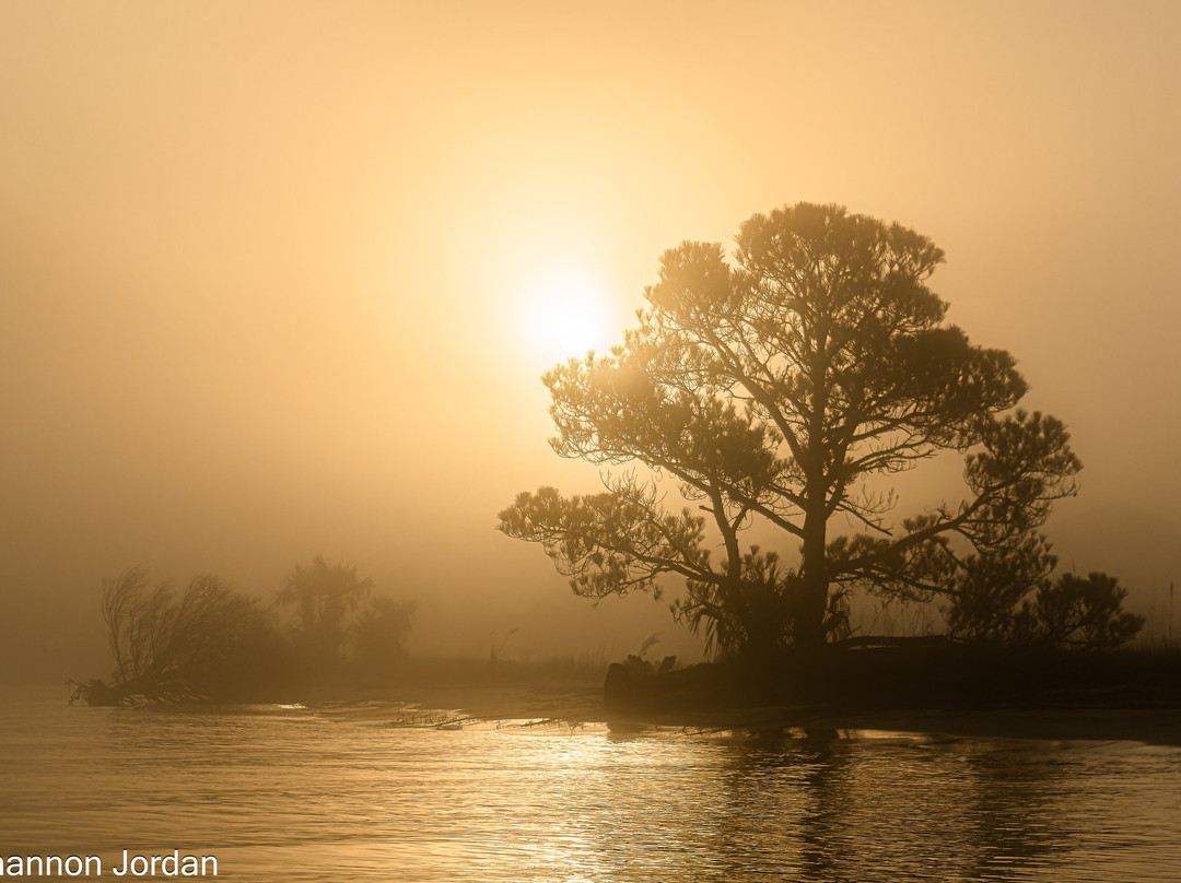 Lowcountry Photo Safaris景点图片
