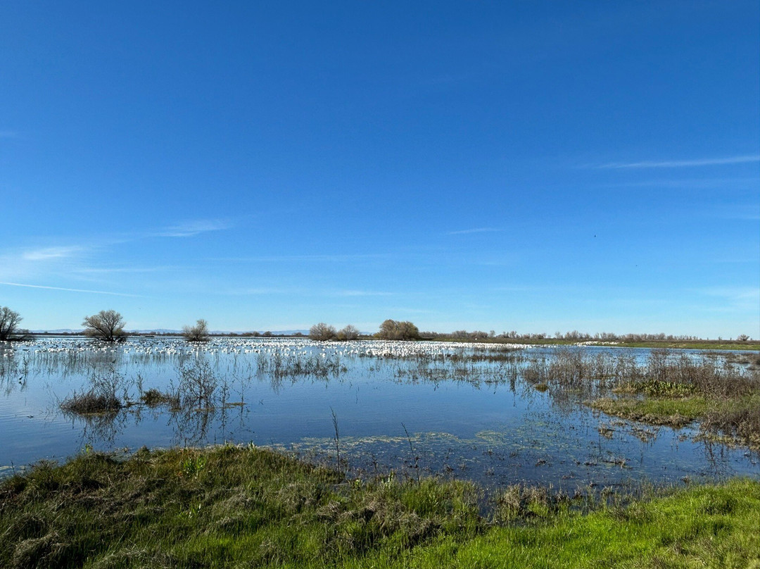 默塞德国家野生动物保护区-默塞德必去景点