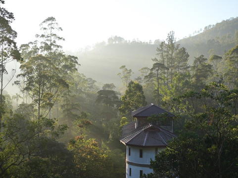 Ceylon Fun Tours-卡图纳耶克必去景点