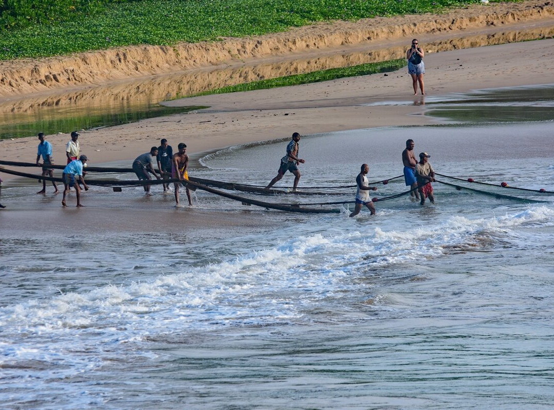 Freedom Resort主图