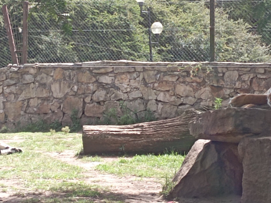 Zoo de Batan-Batan必去景点