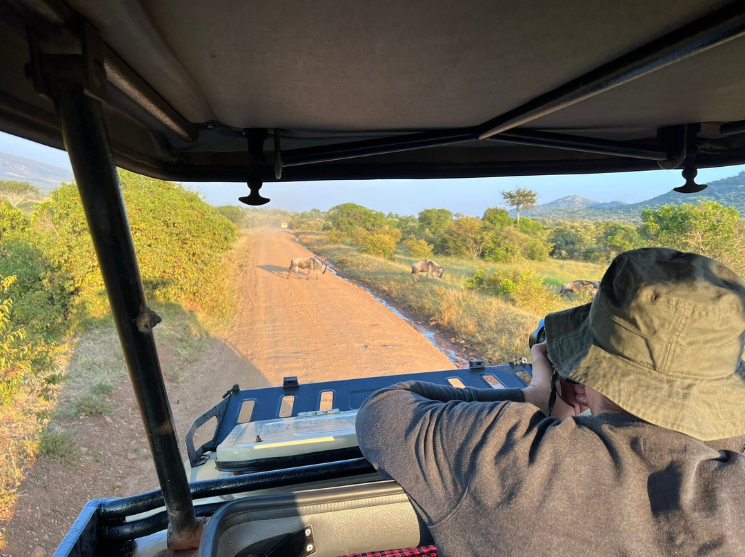 Masai Mara Holidays景点图片