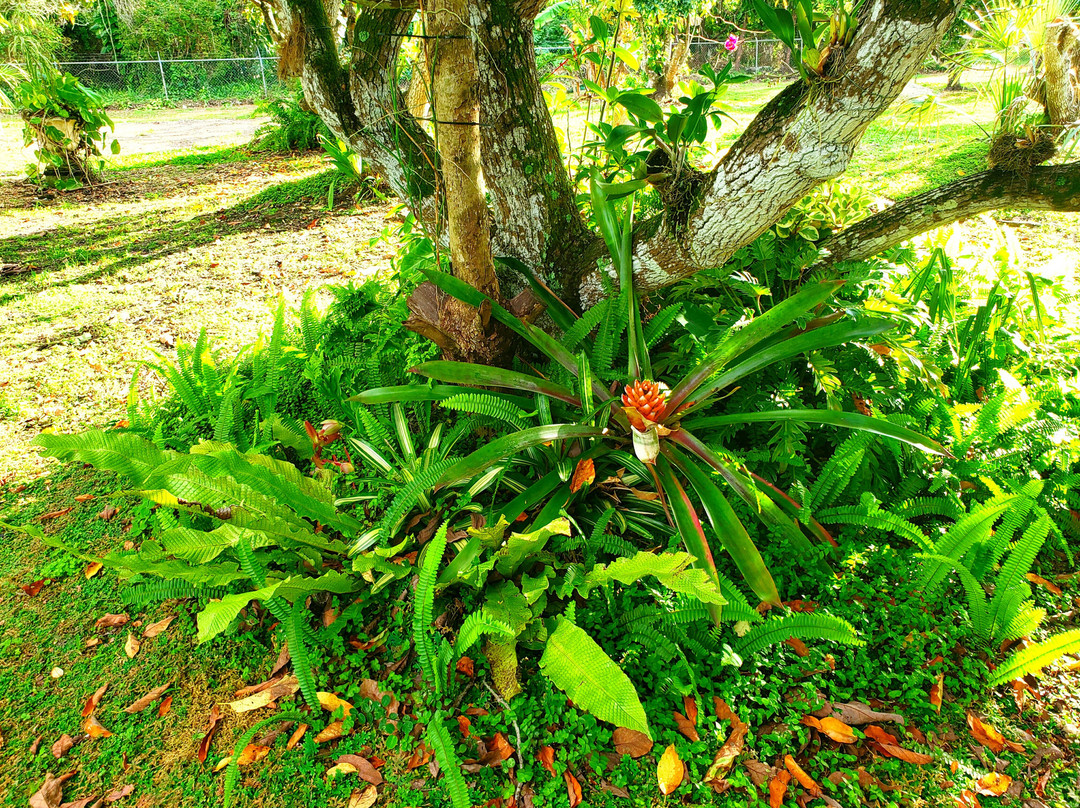 Mery Farm-霍姆斯特德必去景点