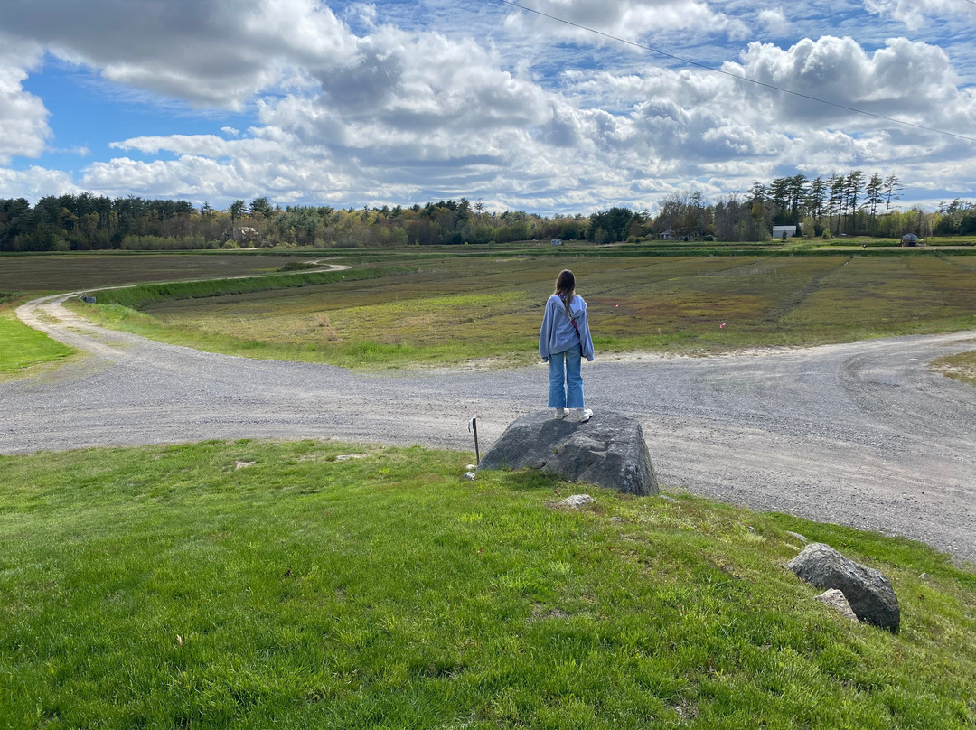 Benson's Pond Cranberry Family Farm-Middleboro必去景点