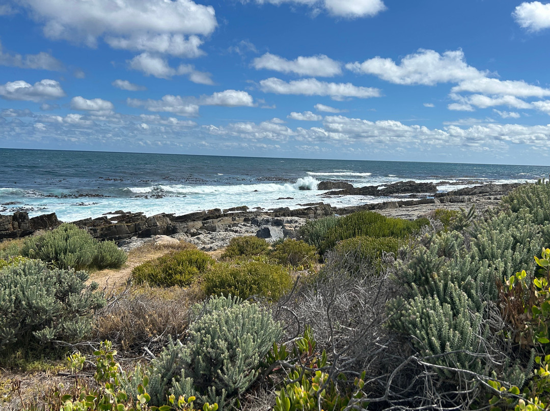 138海洋海滨宾馆主图