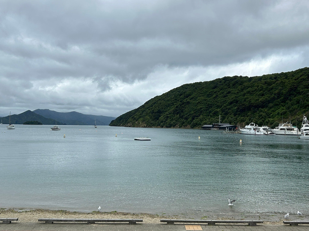Picton Cruise Port景点图片
