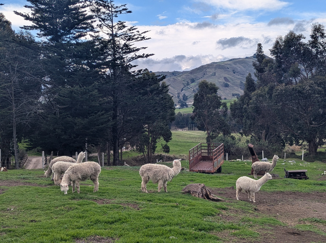 Posada De Tigua主图