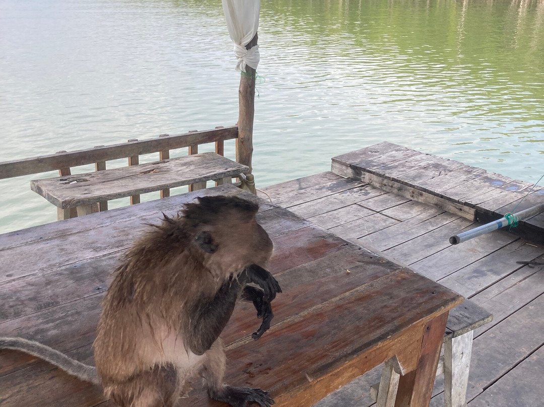 Thung Yee Pheng Mangrove Forest-兰塔岛必去景点