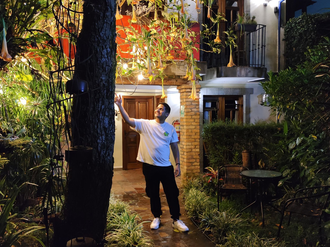 Posada Casa Sol C.a.主图