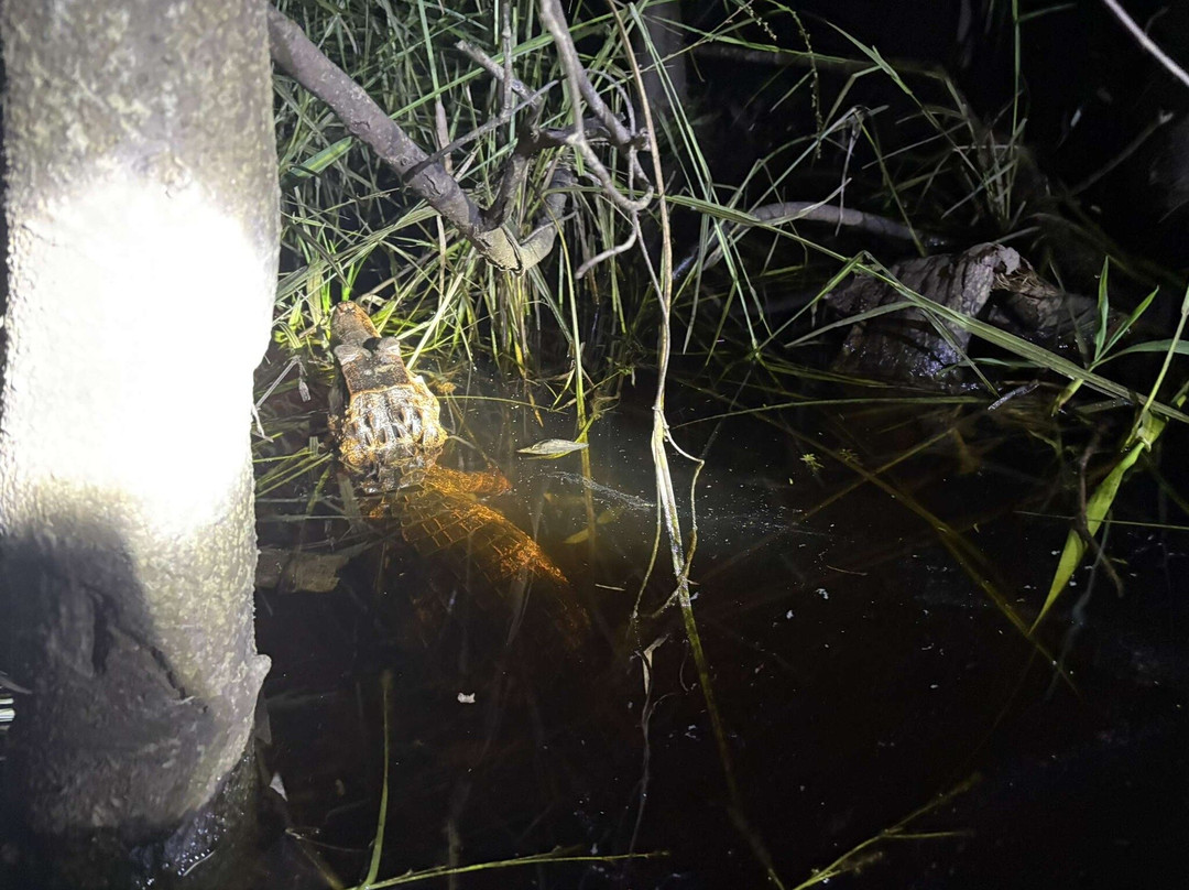 Kaw-Arrondissement of Cayenne必去景点