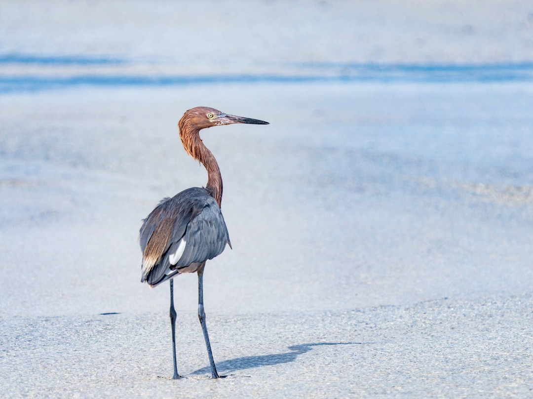 Talbot's Adventures-格雷斯湾必去景点