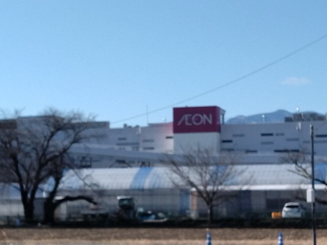 Aeon Mall Kofu Showa景点图片
