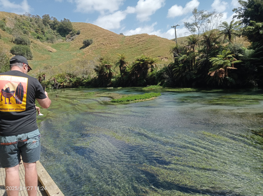 Blue Spring-普塔鲁鲁必去景点