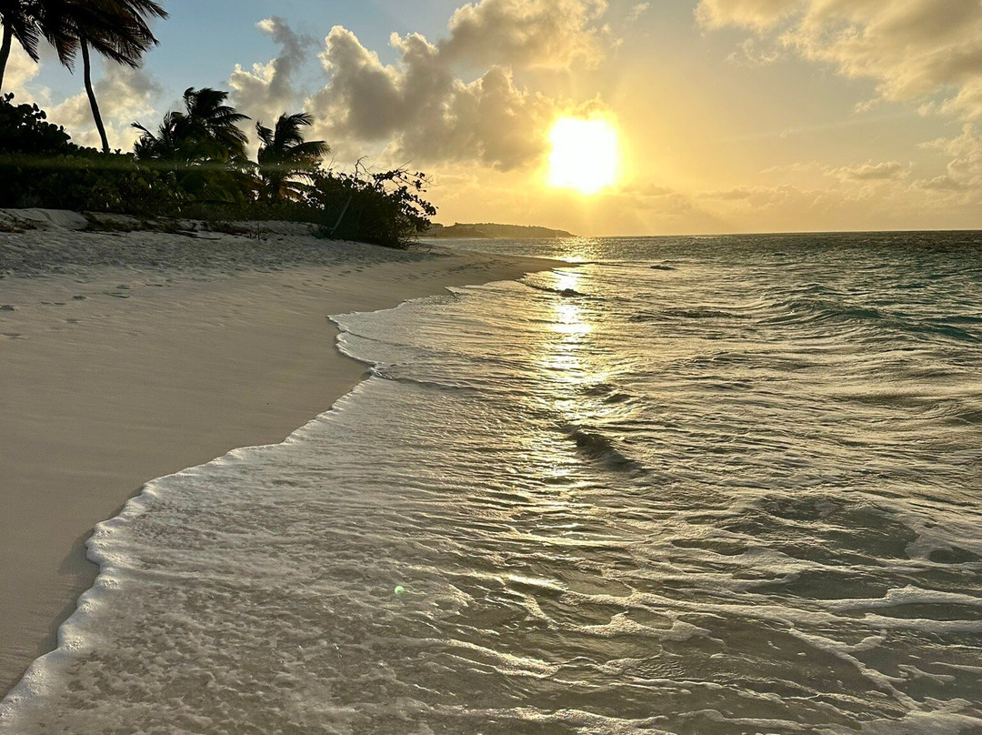 Milly's Inn Inc.主图