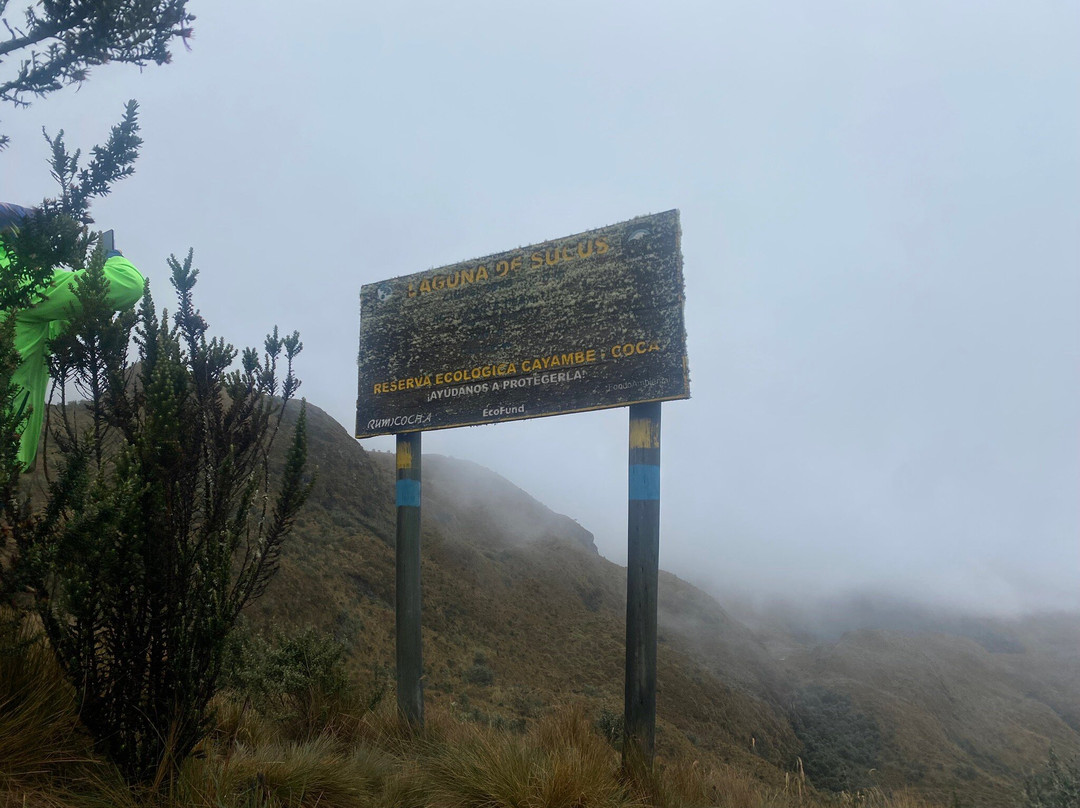 Parque Nacional Cayambe - Coca景点图片