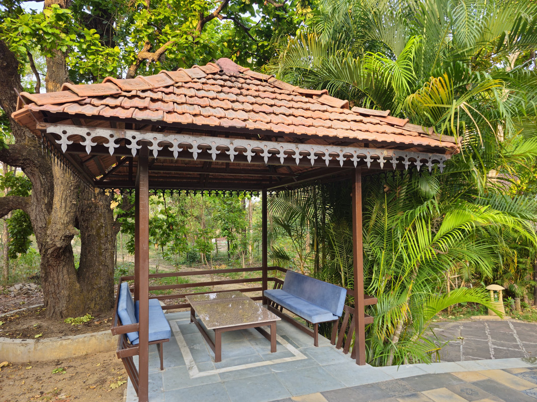 Kanha National Park景点图片