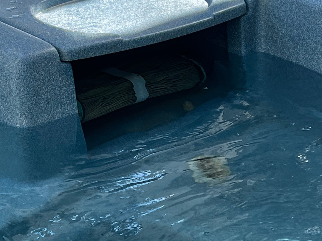 Hotel Del Lago Golf & Art Resort主图