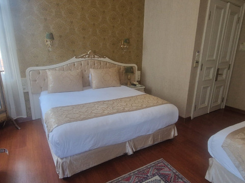 伊斯坦布尔恩德冉酒店主图