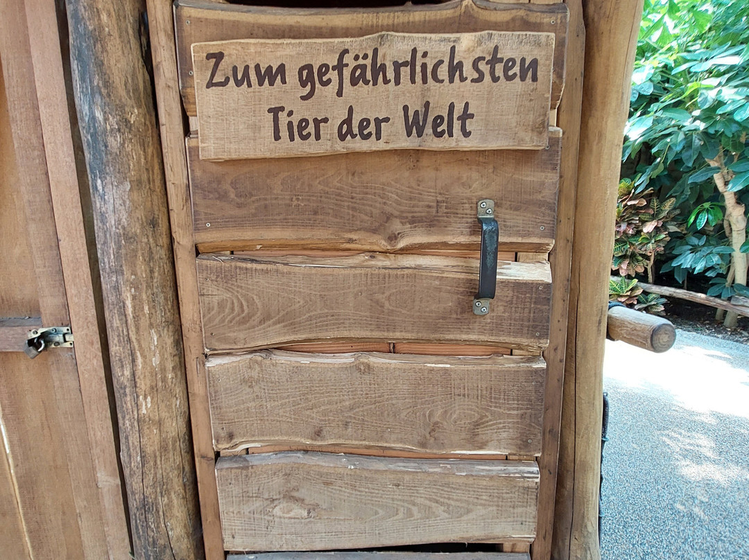 Zoom Erlebniswelt景点图片