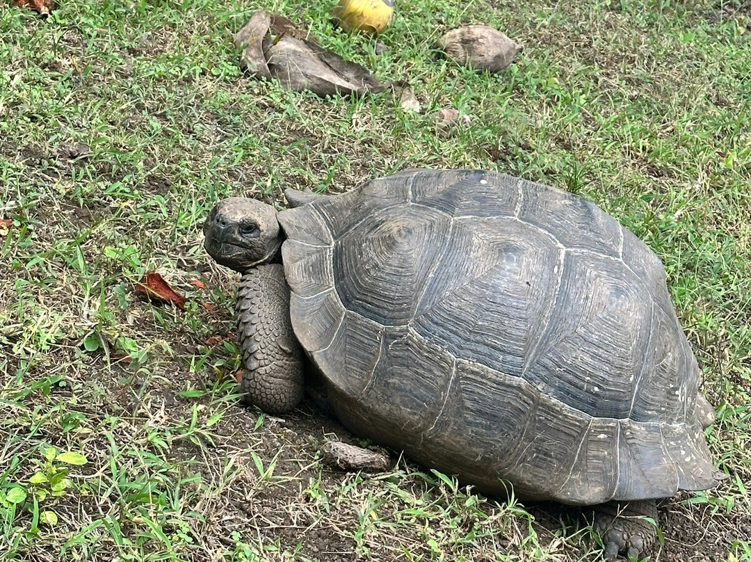 Reserva Galápagos Frontier-圣克鲁斯必去景点