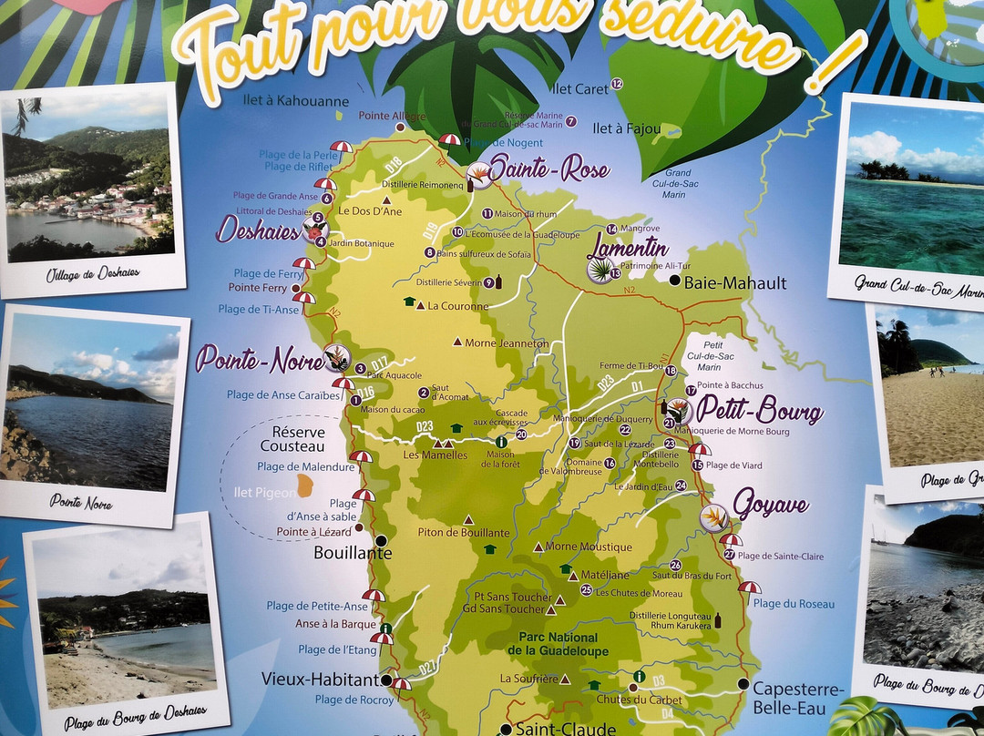 Calypso Plongée-Deshaies必去景点