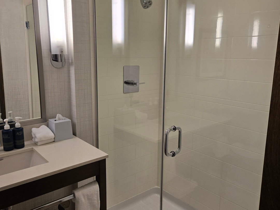 Four Points by Sheraton Coral Gables主图