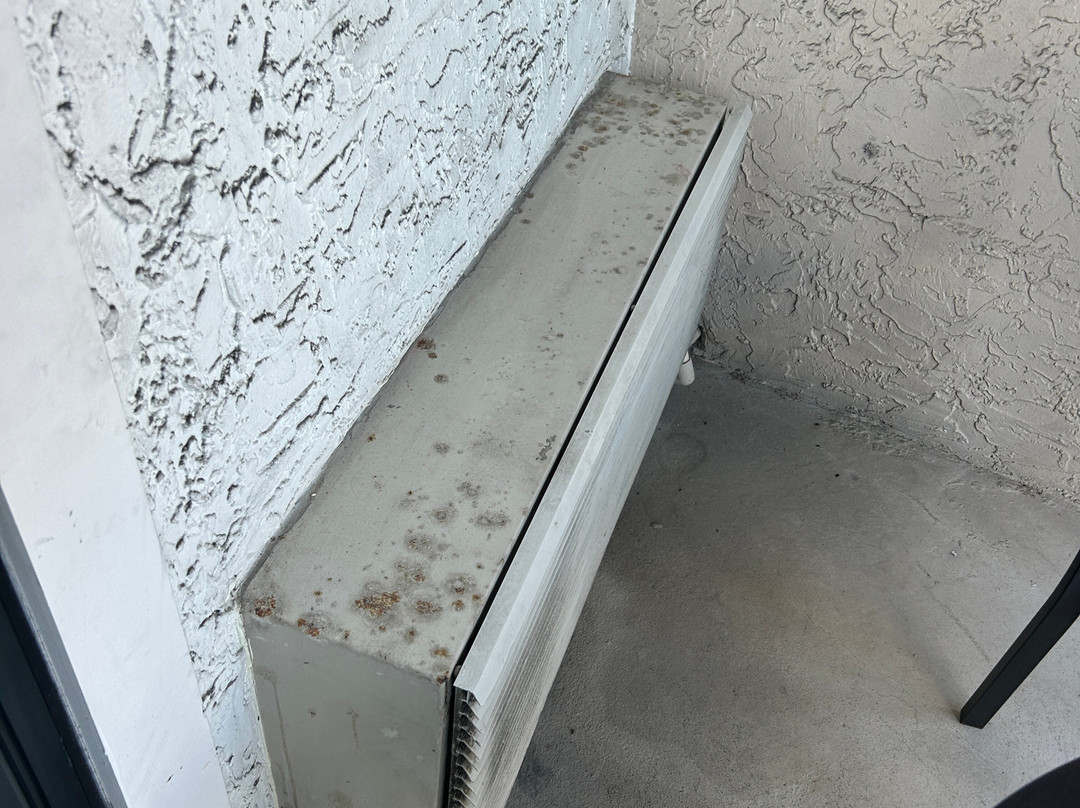 温德姆花园酒店博卡拉顿主图